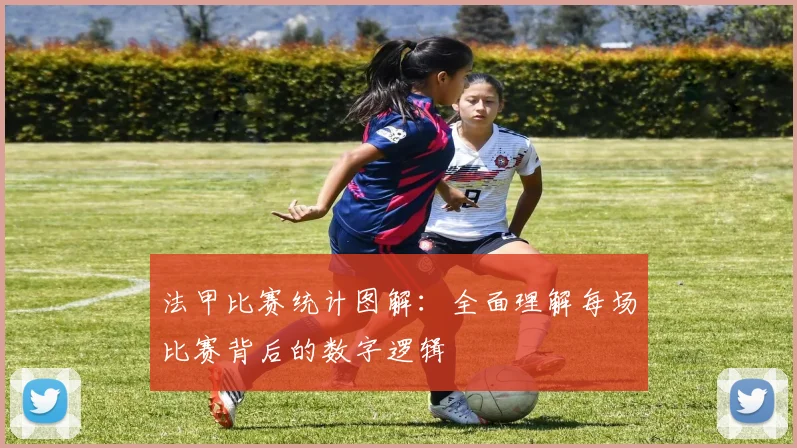 法甲比赛统计图解：全面理解每场比赛背后的数字逻辑