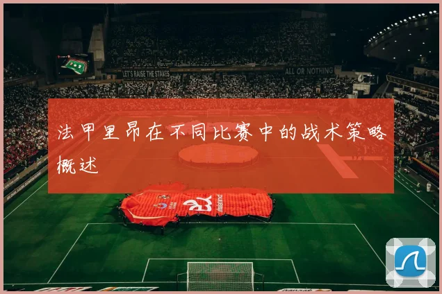 法甲里昂在不同比赛中的战术策略概述