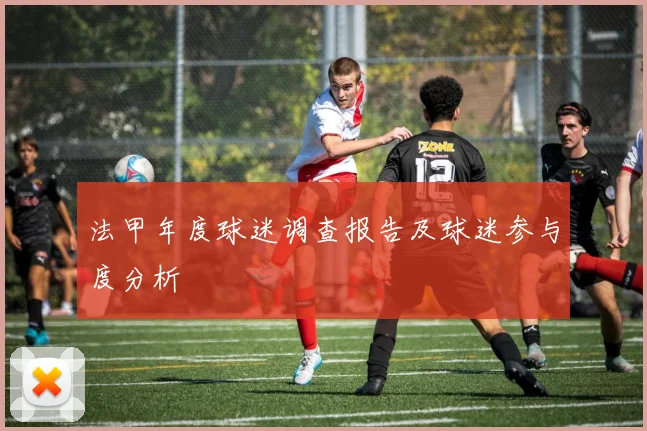 法甲年度球迷调查报告及球迷参与度分析